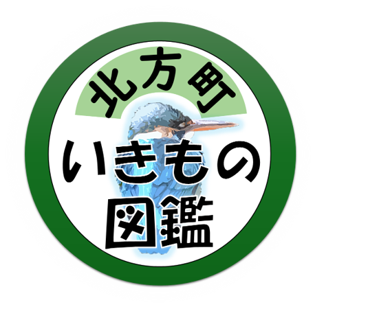 北方生き物図鑑